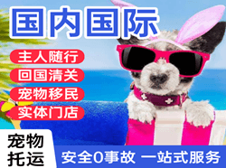 澜沧景迈航空快递国际宠物托运 【国
